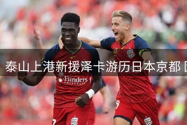 泰山上港新援泽卡游历日本京都 因伤预计缺阵近两个月